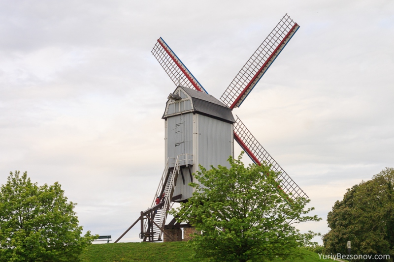 0961-windmill.jpg