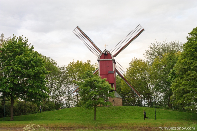 0964-windmill.jpg