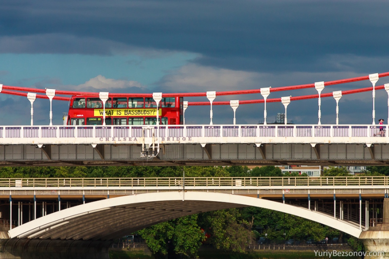 Chelsea and Grosvenor Railway Bridges