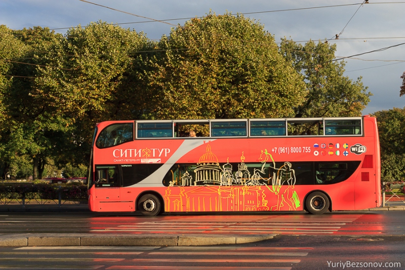 3091-sightseen-bus.jpg