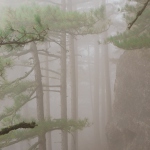 03171-in-the-mist.jpg